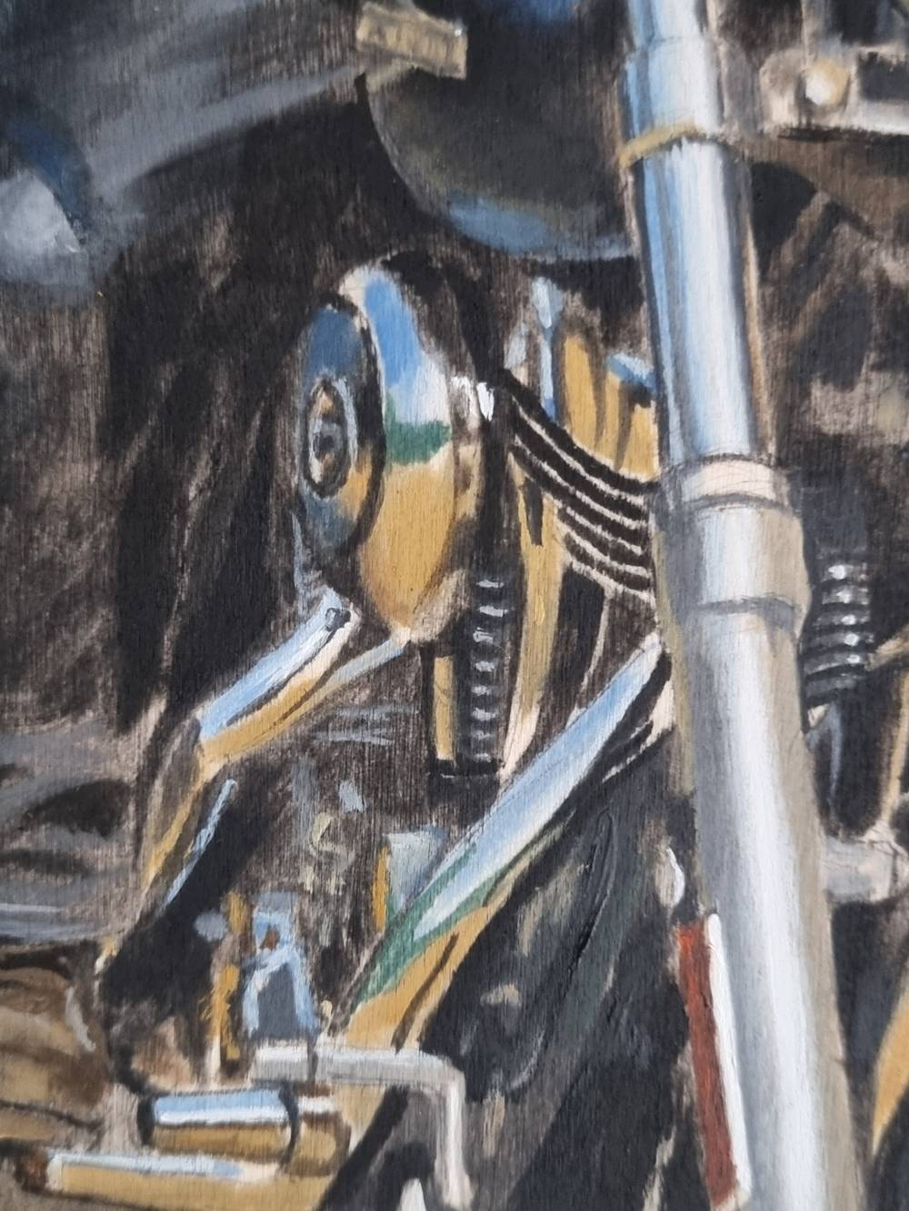 Rockerkröte – Bild 4