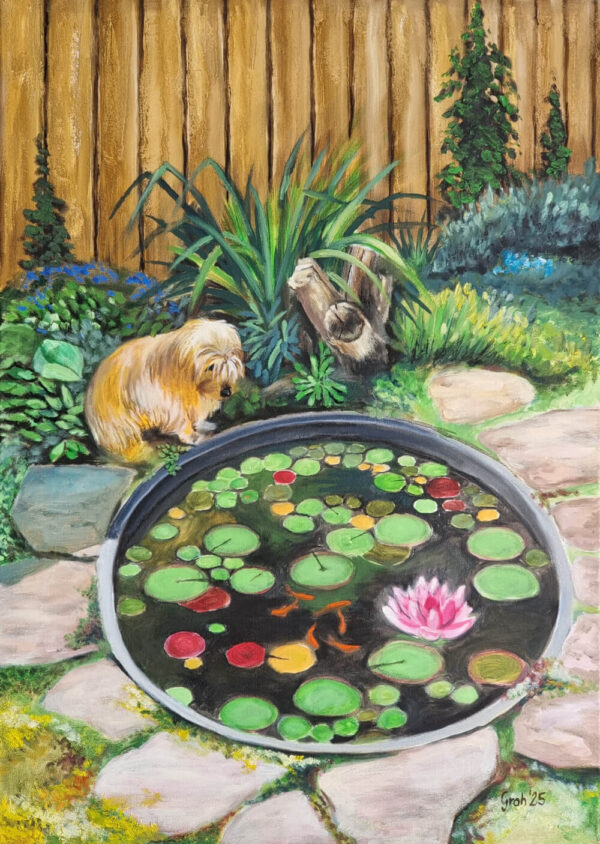 Original Ölgemälde "Der Hund und die Fische" (70x50 cm, 2025) von Groh. Ein kleiner, wuscheliger Hund sitzt an einem runden Gartenteich und beobachtet Goldfische zwischen Seerosen und einer rosa Blüte. Der Hintergrund zeigt einen Holzzaun und Gartenpflanzen.