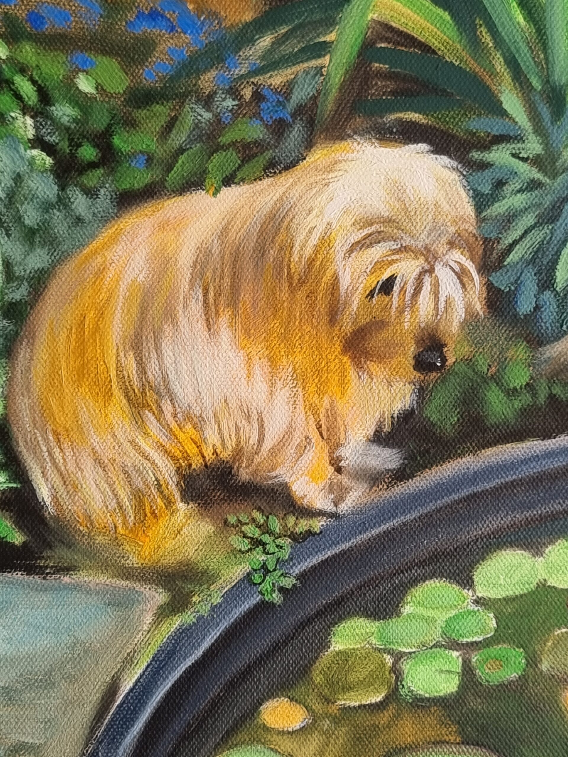 Der Hund und die Fische – Bild 3