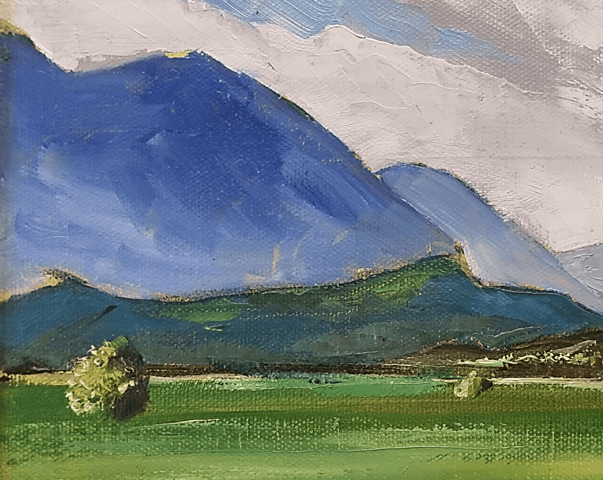 Murnauer Moos – Bild 2